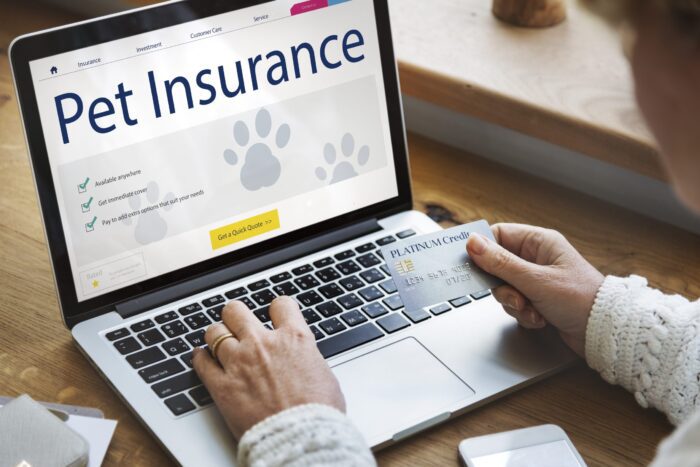 Five Top Pet Insurance Tips to Remember in a Recession
