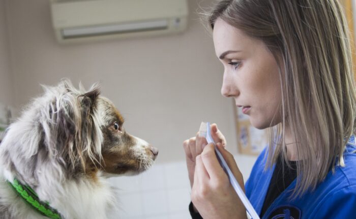 Something to get your teeth stuck into!