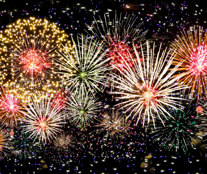 How to prepare your puppy for fireworks night